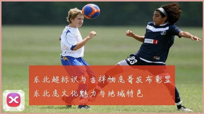 东北超标识与吉祥物虎哥发布彰显东北虎文化魅力与地域特色